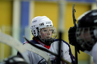 Pirates vs. Enforcers: Aug 13, 2006
