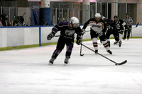 Blizzard vs. Enforcers: August 6, 2007