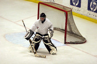 Cheap skates vs. Ice Hounds May 21, 2006