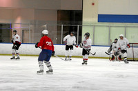 Genentech vs. Red Baron: Oct. 28, 2007