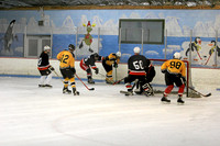 Belmont Hockey: 4x4 - January 17, 2007, Meercats, Youngbloods,