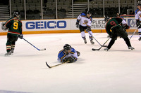 Twisted Sticks vs. Free Radicals: March 16, 2008