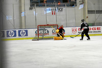 CheapSkates vs. Ice Money: April 22, 2007