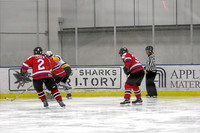 Habs vs. Red Army: June 16, 2007