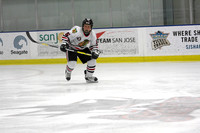 Santa Clara Blackhawks vs. Capitol Thunder: Nov. 23, 2008