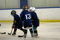 Cougar kids? mites? June 17, 2007
