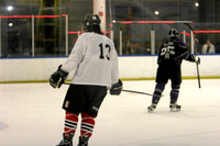 Jackalopes vs. Enforcers: Jan 13, 2008