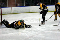Pirates vs. Blizzard: Dec 10, 2006