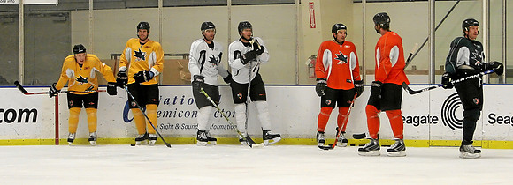 LUNCH TIME SKATE FOR THE SHARKS