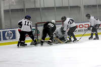 Icequakes vs. Total Chaos: Jan 3, 2009
